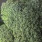 Broccoli Seeds - Organic - Non Gmo - Heirloom Seeds – Vegetable Seeds - USA Garden Seeds