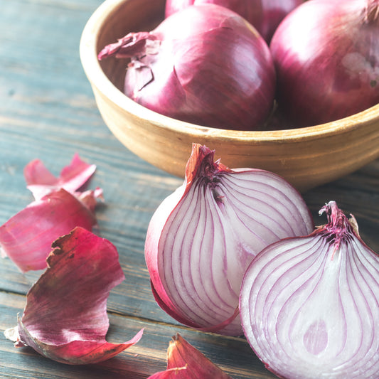 Burgundy Red Onion Seeds - Organic - Non Gmo - Heirloom Seeds – Vegetable Seeds - USA Garden Seeds