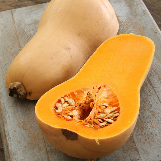 Butternut Squash Seeds - Organic - Non Gmo - Heirloom Seeds – Vegetable Seeds - USA Garden Seeds