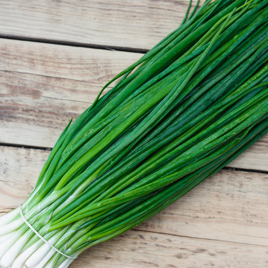 Chive Seeds - Organic - Non Gmo - Heirloom Seeds – Herb Seeds - USA Garden Seeds