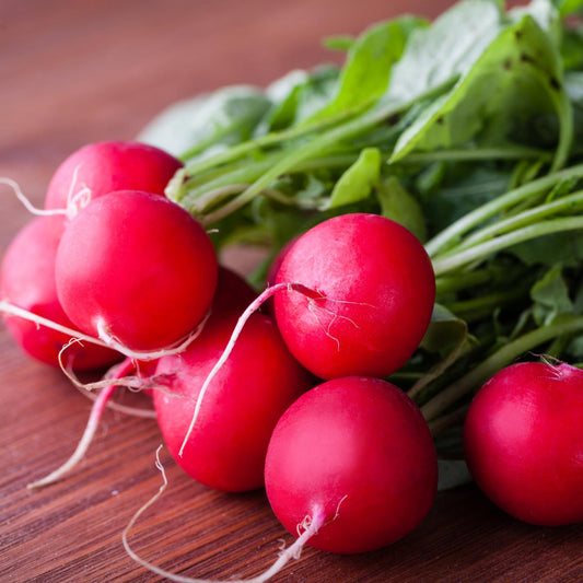 Early Scarlet Globe Radish - Seeds - Organic - Non Gmo - Heirloom Seeds – Vegetable Seeds - USA Garden Seeds