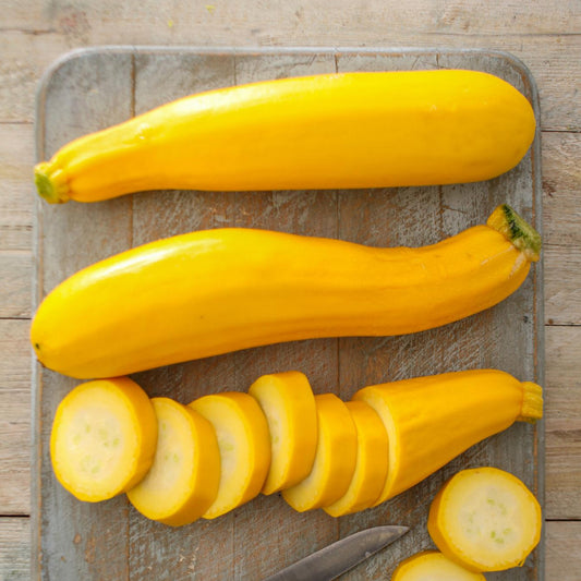 Golden Zucchini - Seeds - Organic - Non Gmo - Heirloom Seeds – Vegetable Seeds - USA Garden Seeds