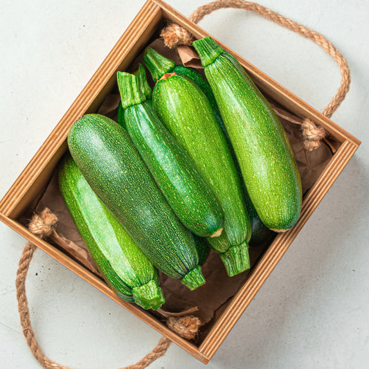 Gray Zucchini - Seeds - Organic - Non Gmo - Heirloom Seeds – Vegetable Seeds - USA Garden Seeds