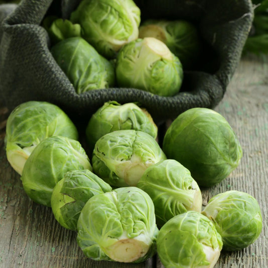 Long Island Brussel Sprout - Seeds - Organic - Non Gmo - Heirloom Seeds – Vegetable Seeds - USA Garden Seeds