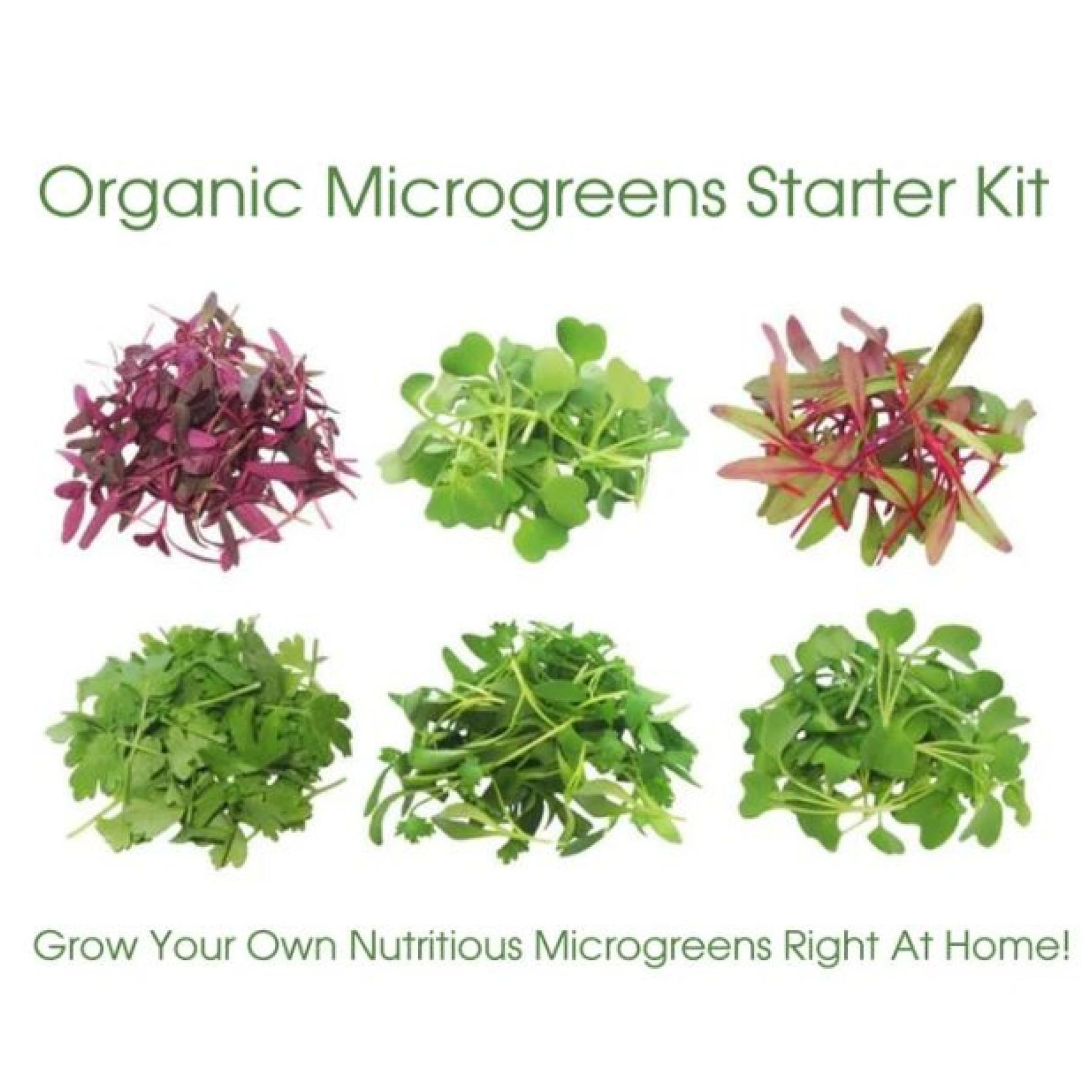 5+ Microgreen Types Microgreen Seeds Variety Pack - 5 Varieties - Organic & Non Gmo Microg