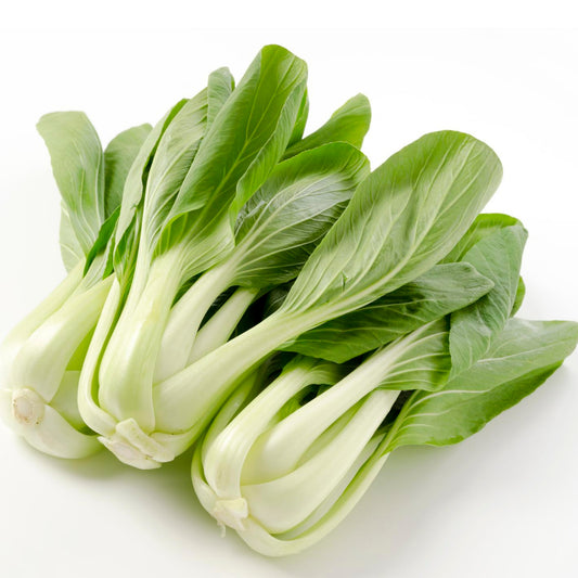 Pak Choi - Seeds - Organic - Non Gmo - Heirloom Seeds – Vegetable Seeds - USA Garden Seeds
