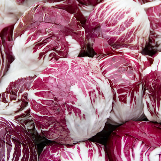 Radicchio - Seeds - Organic - Non Gmo - Heirloom Seeds – Vegetable Seeds - USA Garden Seeds
