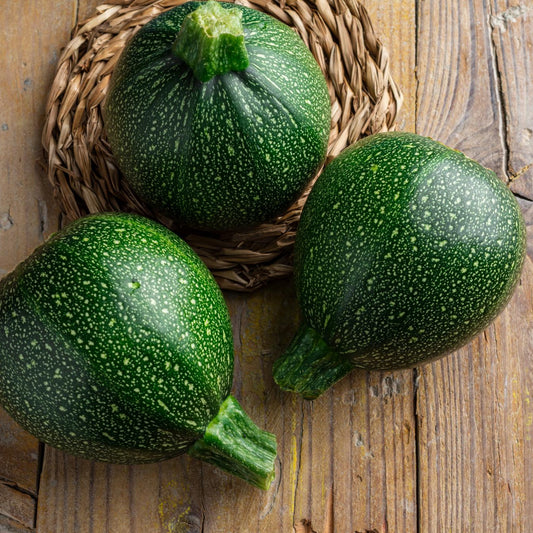 Round Zucchini - Seeds - Organic - Non Gmo - Heirloom Seeds – Vegetable Seeds - USA Garden Seeds