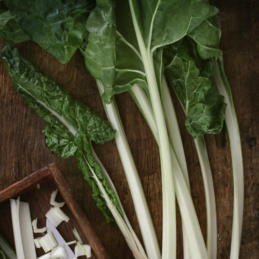 Swiss Chard - Large White - Seeds - Organic - Non Gmo - Heirloom Seeds – Vegetable Seeds - USA Garden Seeds