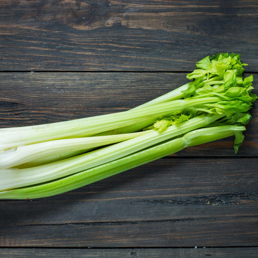 Utah Tall Celery - Seeds - Organic - Non Gmo - Heirloom Seeds – Vegetable Seeds - USA Garden Seeds