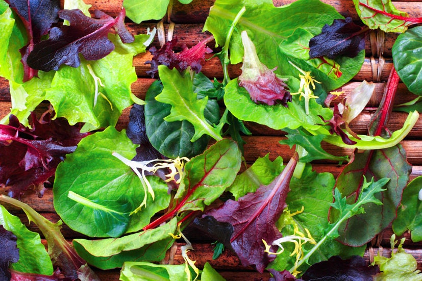 usa garden seeds Spring Lettuce Mix - Seeds - Organic - Non Gmo - Heirloom Seeds – Vegetable Seeds
