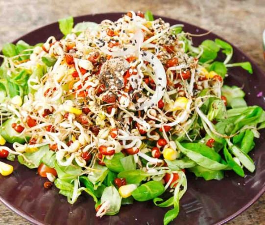 Tangy Bean Mix For Sprouting - Organic - Non Gmo - Heirloom Seeds – Microgreen Seeds - USA Garden Seeds