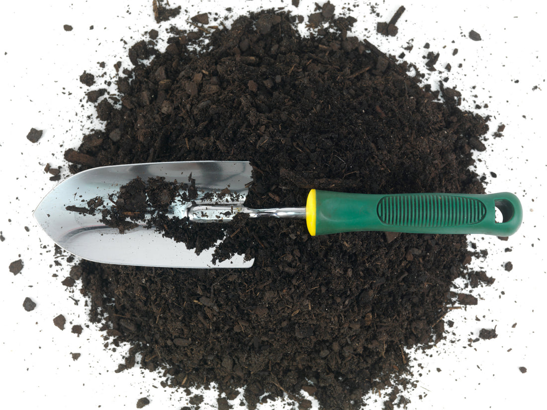 The Importance of Soil Health in your Garden