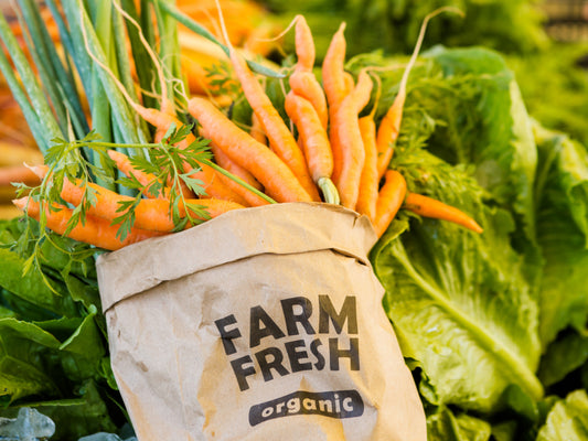 How to Grow Your Own Organic Vegetables