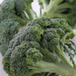 Broccoli Seeds - Organic - Non Gmo - Heirloom Seeds – Vegetable Seeds - USA Garden Seeds