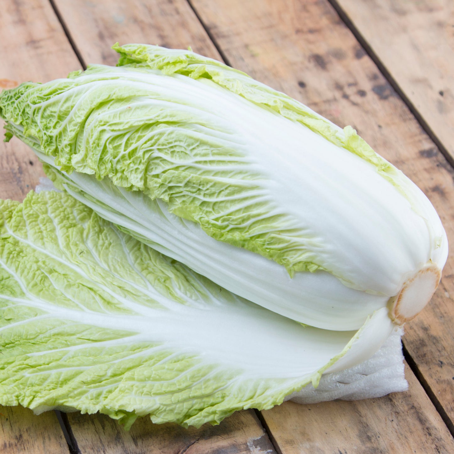 Chinese Cabbage Seeds - Organic - Non Gmo - Heirloom Seeds – Vegetable Seeds - USA Garden Seeds