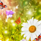 Hummingbird & Butterfly Flower Mix - Seeds - Organic - Non Gmo - Heirloom Seeds – Flower Seeds - USA Garden Seeds