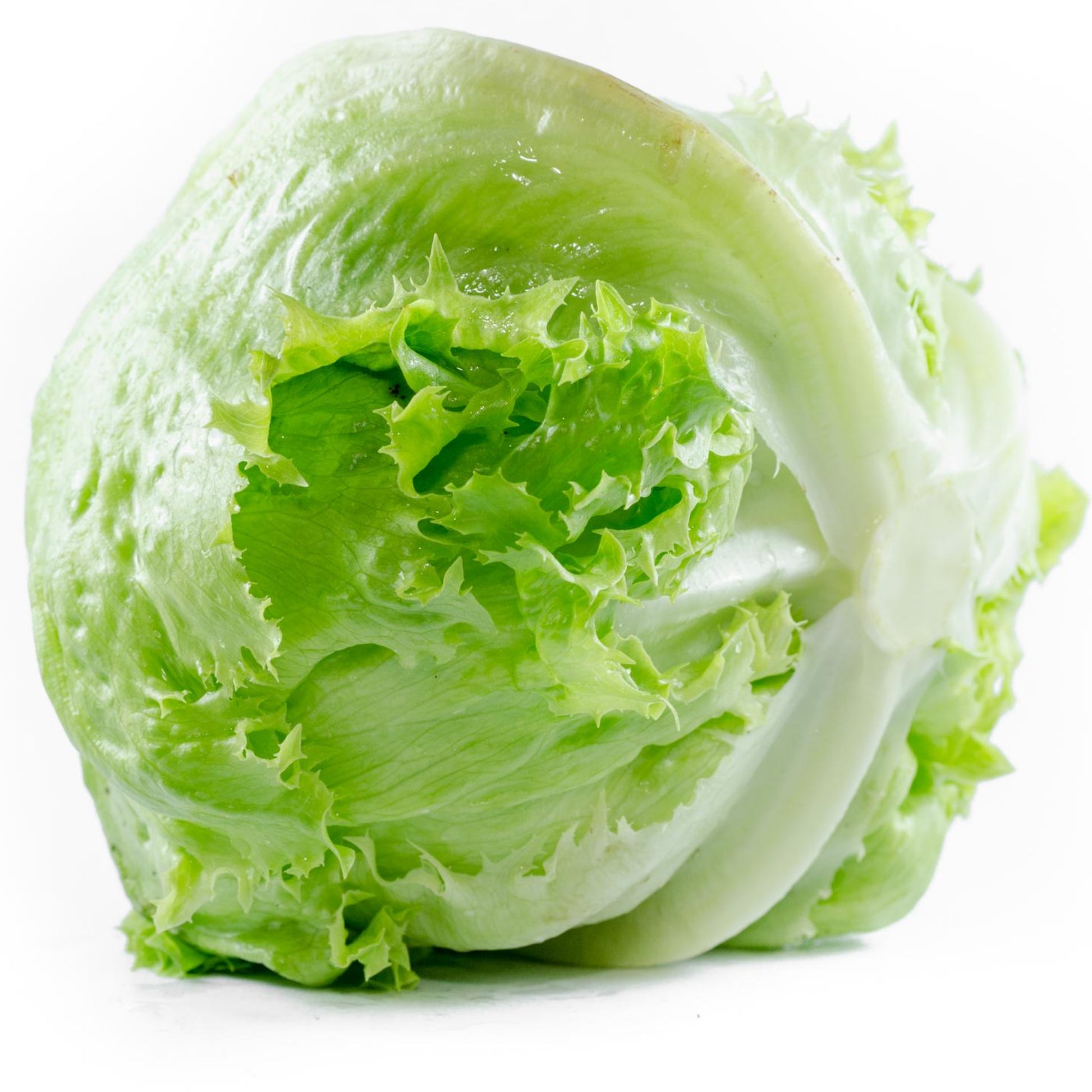 Iceberg Lettuce - Seeds - Organic - Non Gmo - Heirloom Seeds – Vegetable Seeds - USA Garden Seeds 
