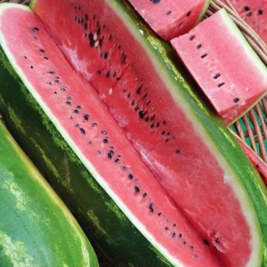 Jubilee Watermelon - Seeds - Non Gmo - Heirloom Seeds – Fruit Seeds - Grow Your Own Food At Home! - Fast Growing Variety! Fresh Seeds!