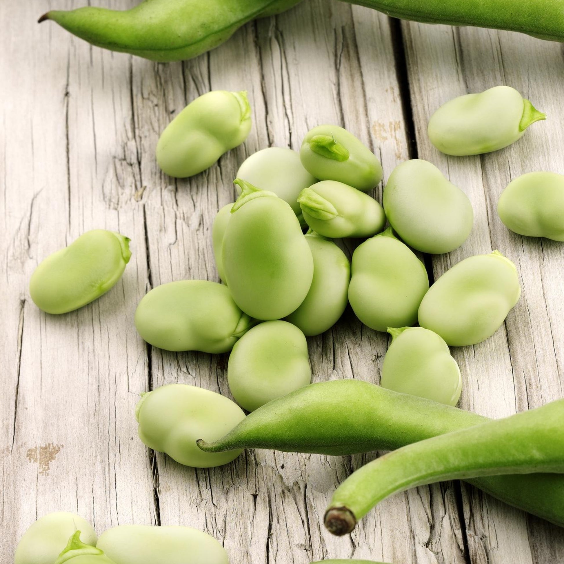 lima beans seeds for planting Lima Beans - Seeds - Non Gmo - Heirloom Seeds – Bean Seeds