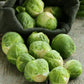 Long Island Brussel Sprout - Seeds - Organic - Non Gmo - Heirloom Seeds – Vegetable Seeds - USA Garden Seeds  