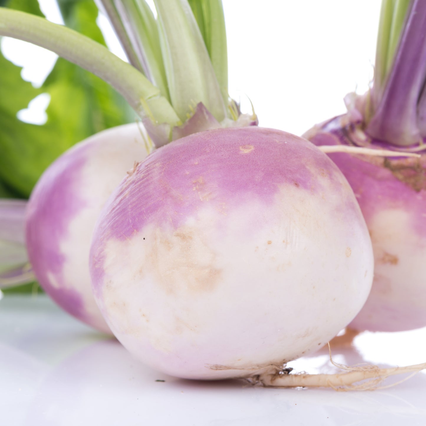 Purple Top Turnips - Seeds - Organic - Non Gmo - Heirloom Seeds – Vegetable Seeds - USA Garden Seeds