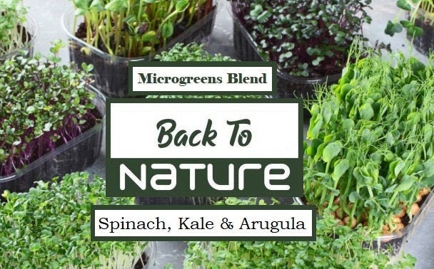 Spinach, Kale & Arugula Microgreens - Organic Seeds - Non Gmo - Heirloom Seeds – Microgreen Seeds - Fresh USA Garden Seeds - Grows Fast