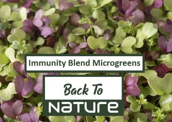 Immunity Blend Microgreens - 6 Seed Blend - Seeds - Organic & Non Gmo - Heirloom Seeds – Microgreen Seeds - Fresh USA Seeds